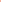 Color_Rose